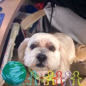 Meet your Posher, Roberta